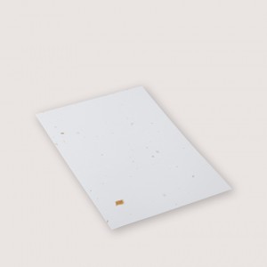 |缺貨|明信片-金沙紙|10入一包|